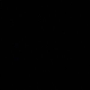 Meet your Posher, Abdulaziz